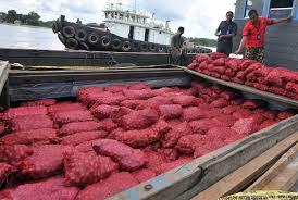 TNI AL Gagalkan Penyelundupan 200 Ton Bawang Ilegal di Perairan Bengkalis
